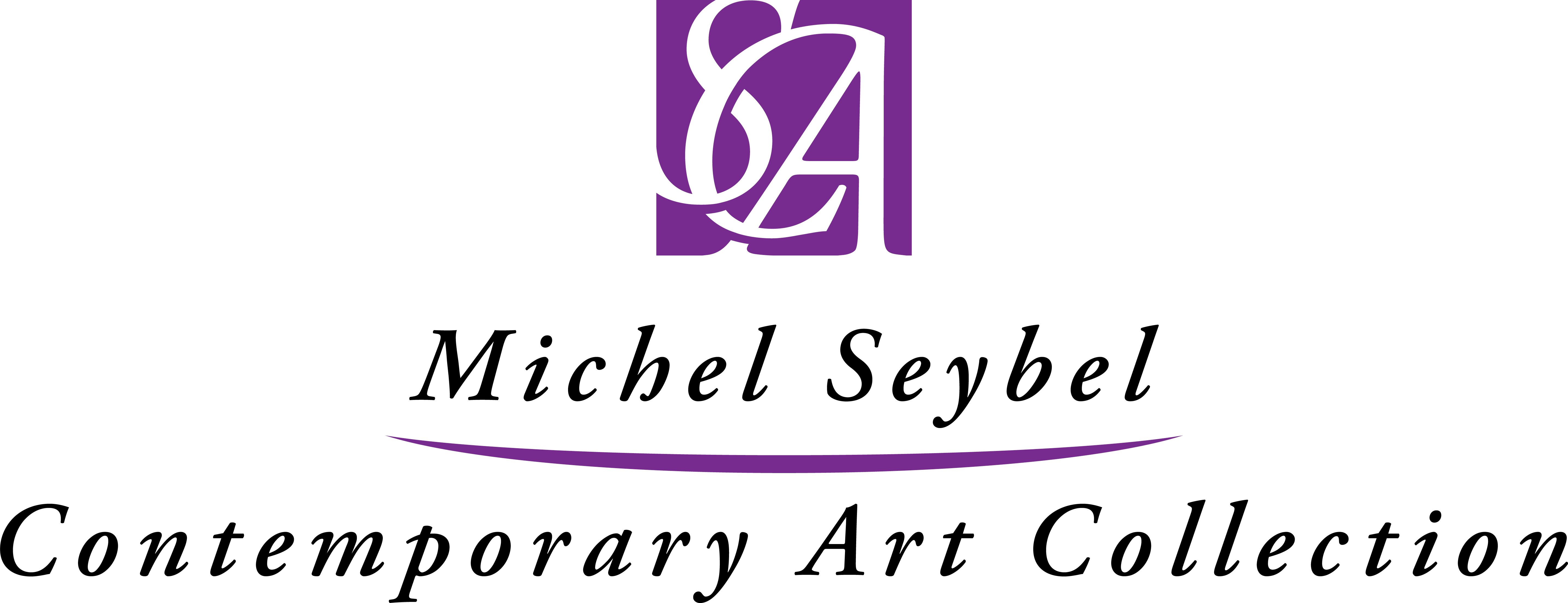 logo_michel_seybel_contemporary_art_collection.jpg