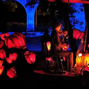 "Le chant des coquelicots" , spectacle lumino-poétique et sonore par la compagnie Fredandco "Le chant des coquelicots" , spectacle lumino-poétique et sonore par la compagnie Fredandco