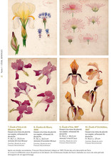 Catalogue d'exposition : François Décorchemont - L'alchimie de la matière, de la couleur et de la lumière, page 16