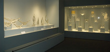 Vitrine de l'exposition Pierre Jahan