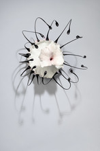 Oeuvre de Julie Legrand